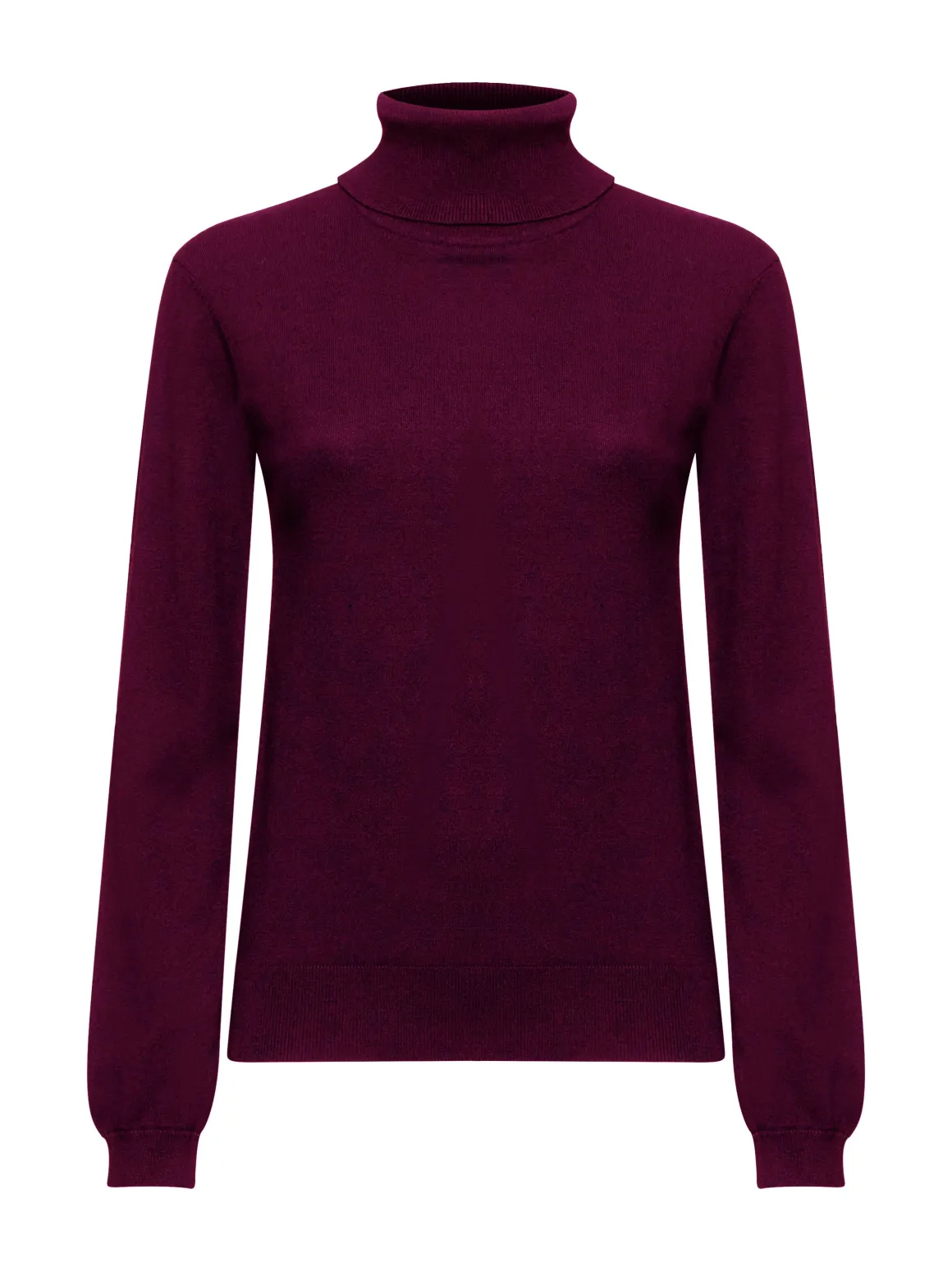 Essential high-neck turtleneck